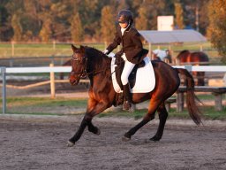 IMG_8142_web